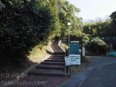 実はアスレチックが面白い 横浜公園 は一部修理中 ドコイク子の 今日どこ行く