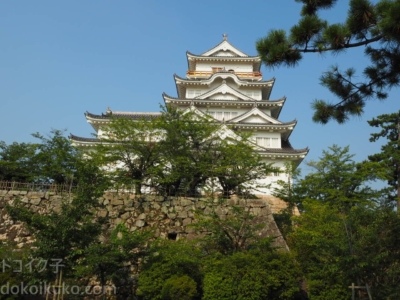 2022年まで休館中の【福山城博物館（天守閣）】は松ぼっくりの穴場でした。